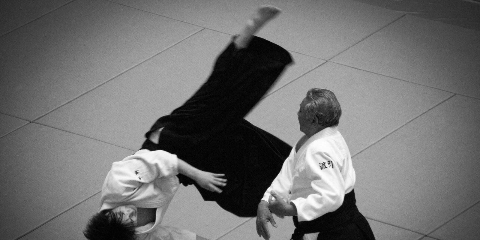 Aikido practitioners in hakama demonstrating a throw at the Nippon Budokan