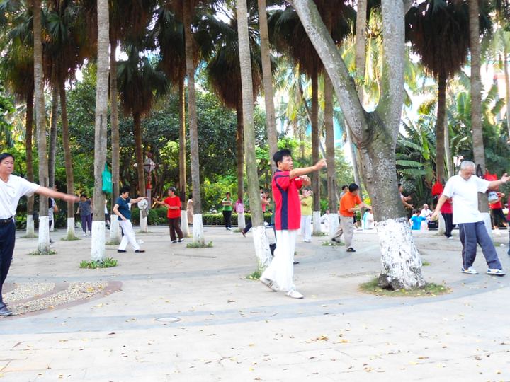 Tai Chi
